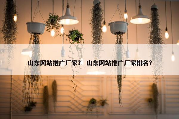 山东网站推广厂家？ 山东网站推广厂家排名？