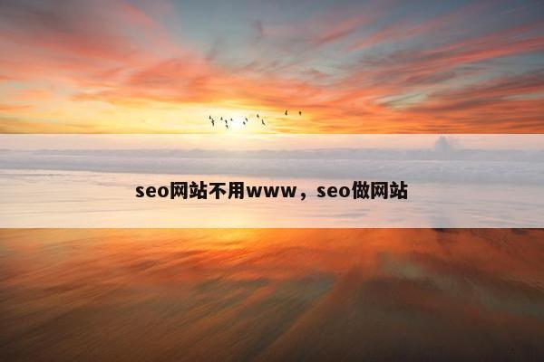 seo网站不用www，seo做网站