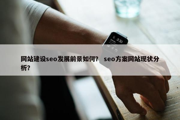 网站建设seo发展前景如何？ seo方案网站现状分析？