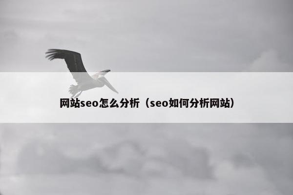 网站seo怎么分析（seo如何分析网站）