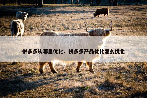 拼多多从哪里优化，拼多多产品优化怎么优化