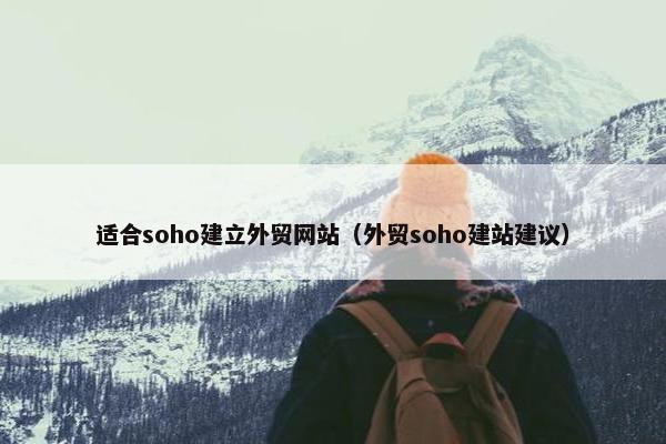 适合soho建立外贸网站（外贸soho建站建议）