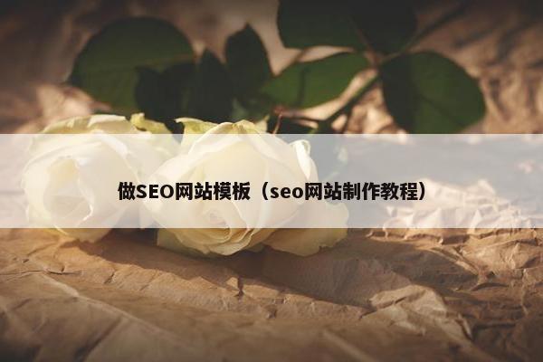 做SEO网站模板（seo网站制作教程）