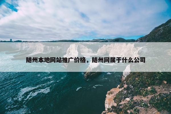 随州本地网站推广价格，随州网属于什么公司