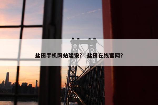 盐田手机网站建设？ 盐田在线官网？