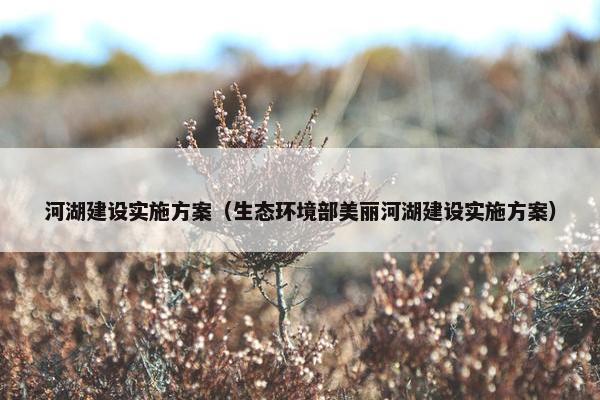 河湖建设实施方案（生态环境部美丽河湖建设实施方案）