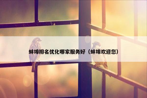 蚌埠排名优化哪家服务好（蚌埠欢迎您）