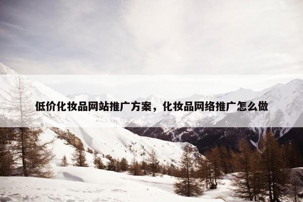 低价化妆品网站推广方案，化妆品网络推广怎么做