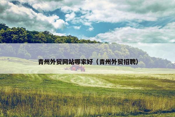 青州外贸网站哪家好（青州外贸招聘）