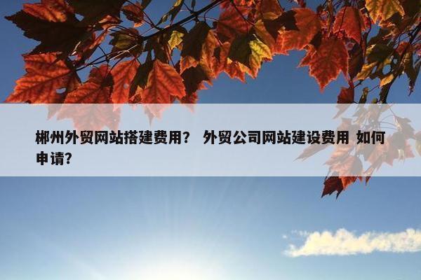郴州外贸网站搭建费用？ 外贸公司网站建设费用 如何申请？