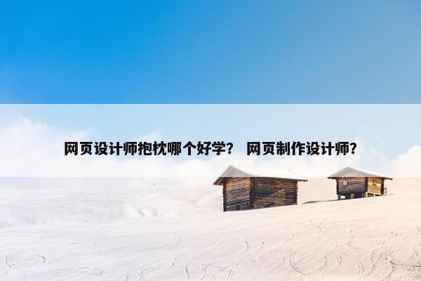 网页设计师抱枕哪个好学？ 网页制作设计师？