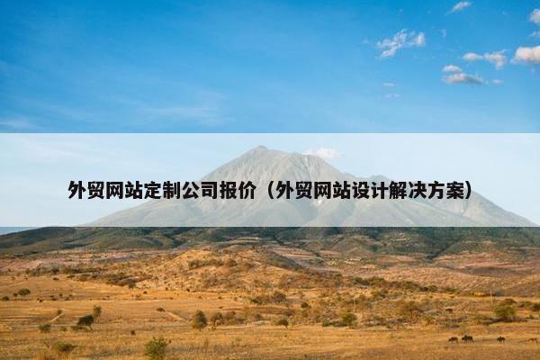 外贸网站定制公司报价（外贸网站设计解决方案）