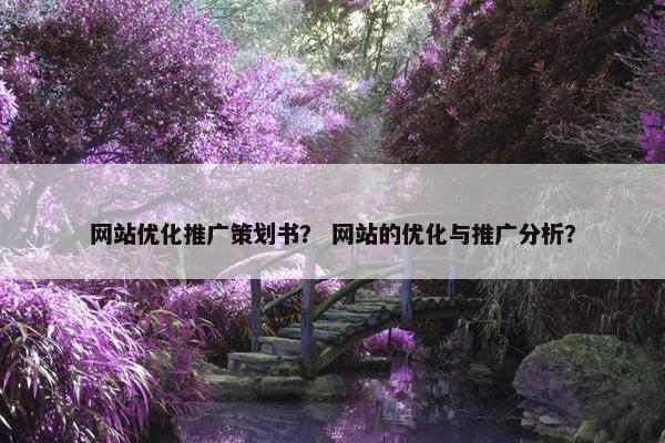 网站优化推广策划书？ 网站的优化与推广分析？