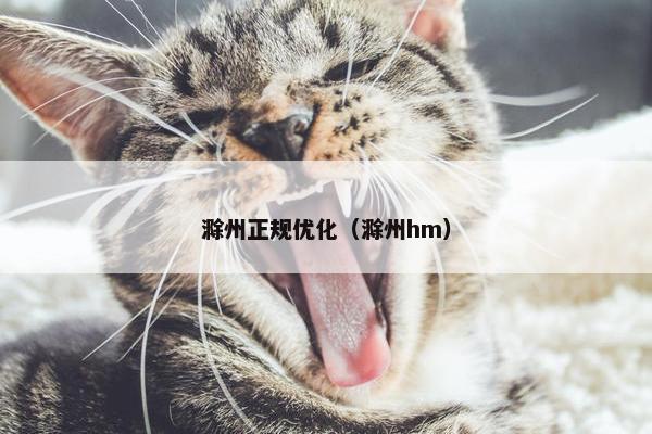 滁州正规优化（滁州hm）