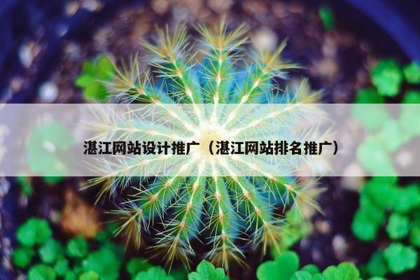 湛江网站设计推广（湛江网站排名推广）