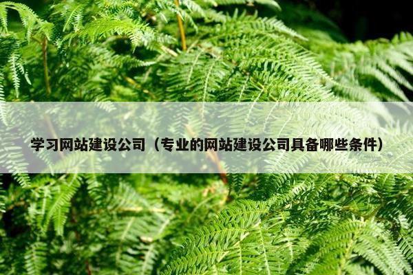 学习网站建设公司（专业的网站建设公司具备哪些条件）