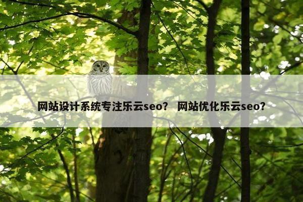 网站设计系统专注乐云seo？ 网站优化乐云seo？