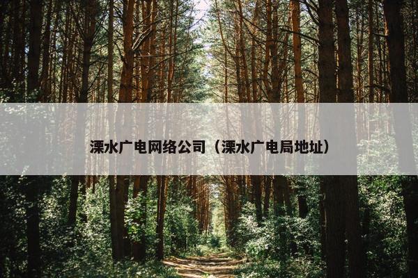 溧水广电网络公司（溧水广电局地址）