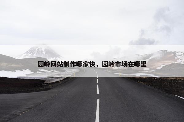 园岭网站制作哪家快，园岭市场在哪里