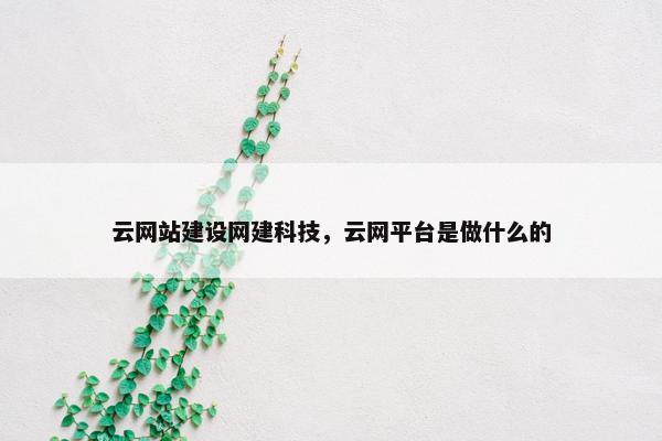 云网站建设网建科技，云网平台是做什么的