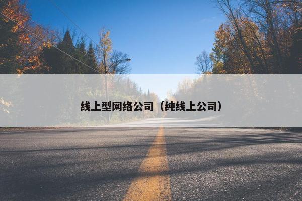 线上型网络公司（纯线上公司）