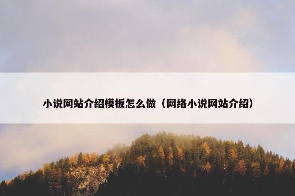 小说网站介绍模板怎么做（网络小说网站介绍）