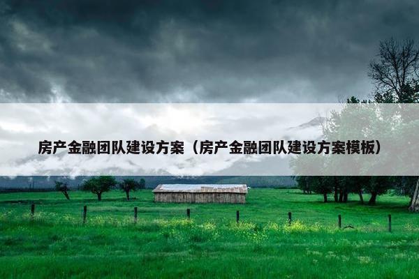 房产金融团队建设方案（房产金融团队建设方案模板）