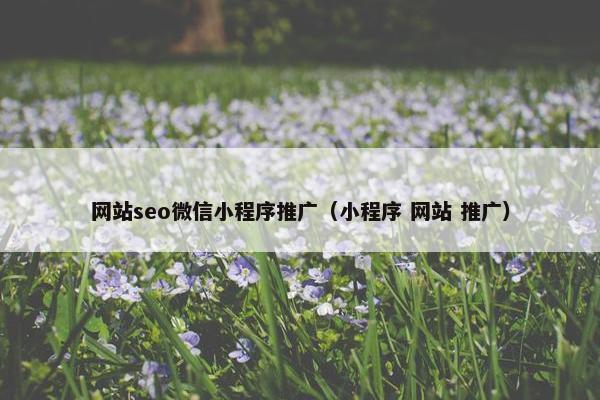 网站seo微信小程序推广（小程序 网站 推广）