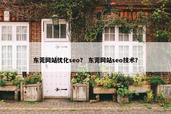 东莞网站优化seo？ 东莞网站seo技术？