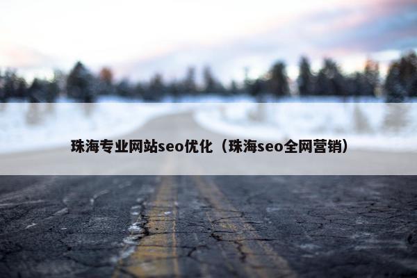 珠海专业网站seo优化（珠海seo全网营销）
