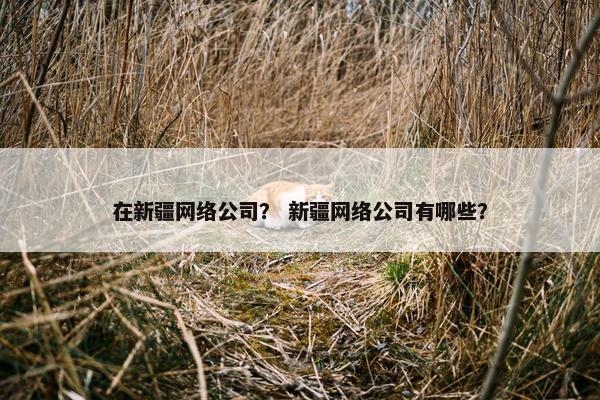 在新疆网络公司？ 新疆网络公司有哪些？