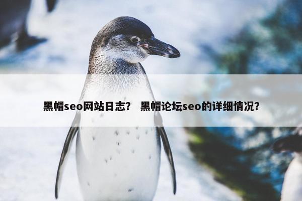 黑帽seo网站日志？ 黑帽论坛seo的详细情况？