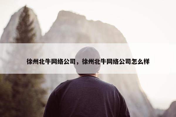 徐州北牛网络公司，徐州北牛网络公司怎么样