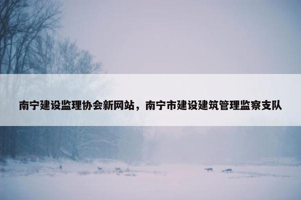 南宁建设监理协会新网站，南宁市建设建筑管理监察支队