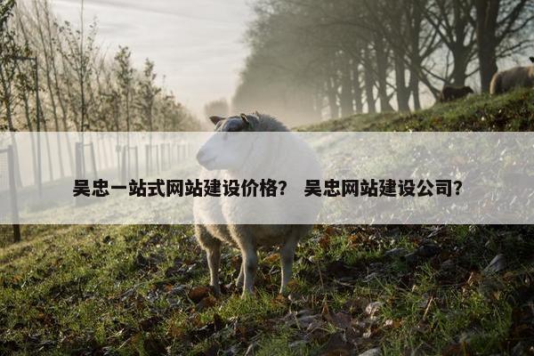 吴忠一站式网站建设价格？ 吴忠网站建设公司？