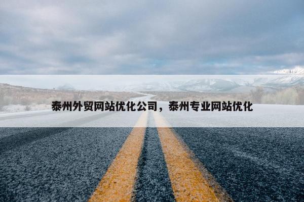 泰州外贸网站优化公司，泰州专业网站优化