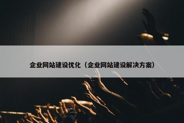 企业网站建设优化（企业网站建设解决方案）