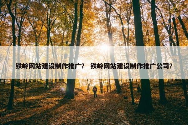 铁岭网站建设制作推广？ 铁岭网站建设制作推广公司？