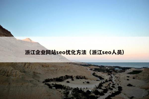 浙江企业网站seo优化方法（浙江seo人员）