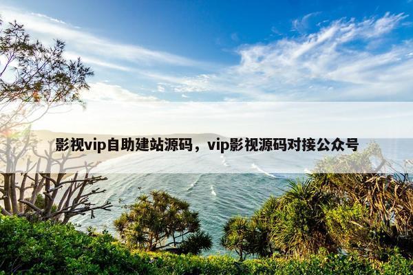 影视vip自助建站源码，vip影视源码对接公众号