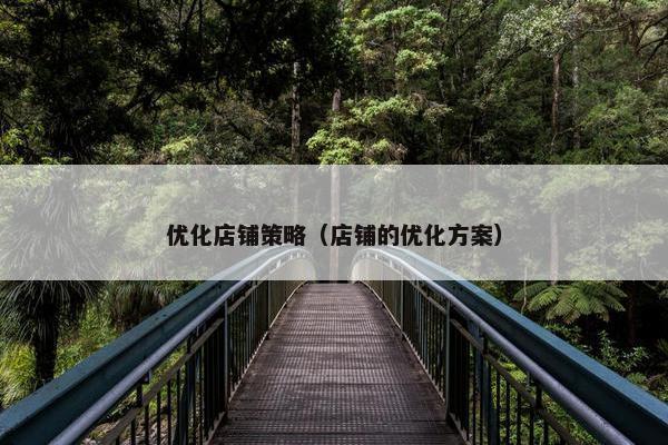 优化店铺策略（店铺的优化方案）