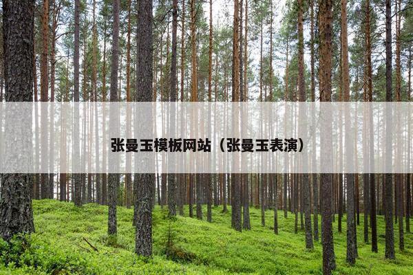 张曼玉模板网站（张曼玉表演）