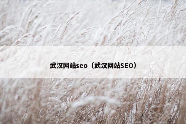 武汉网站seo（武汉网站SEO）