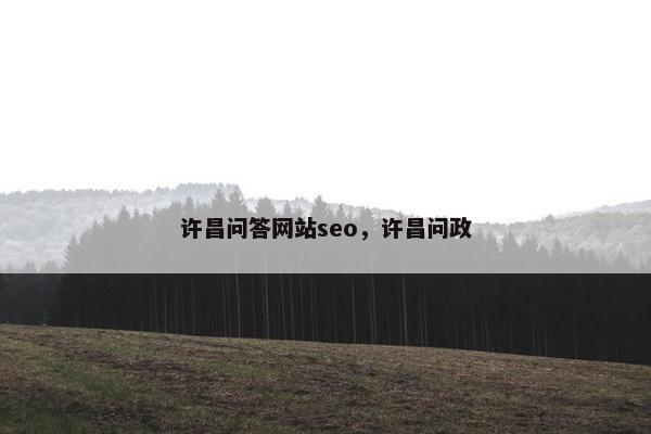许昌问答网站seo，许昌问政