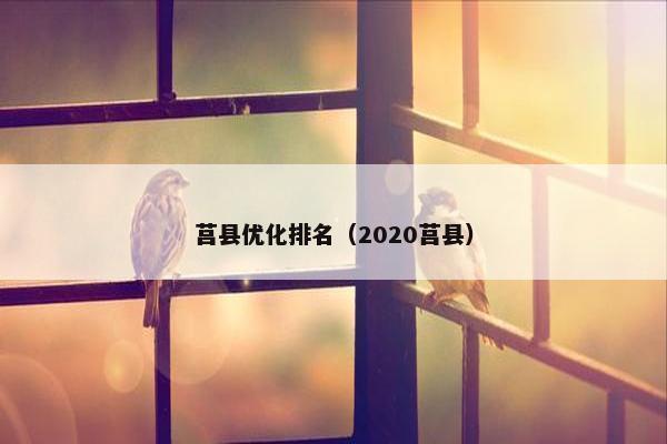 莒县优化排名（2020莒县）