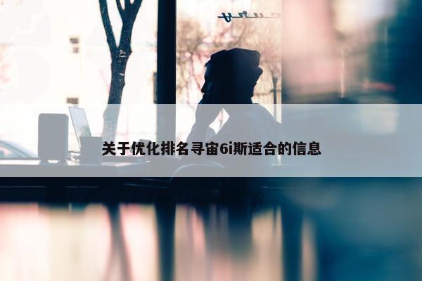 关于优化排名寻宙6i斯适合的信息